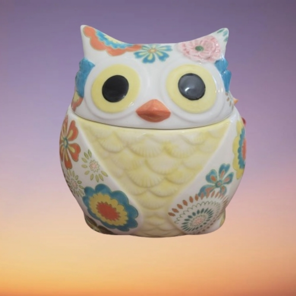 Pier 1 Owl Cookie Jar Multicolor Floral Owl Ceramic Decor